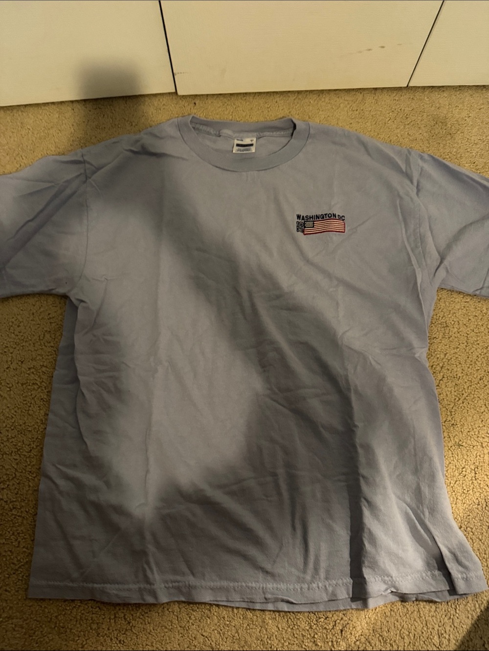 Washington DC embroidered Light Purple Graphic Crew Neck T-Shirt